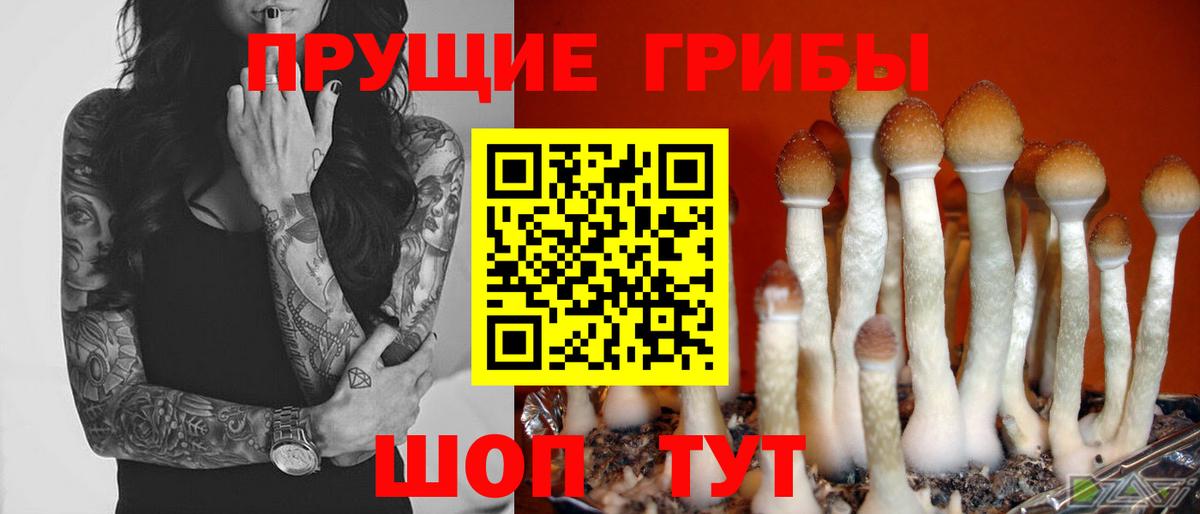 Псилоцибиновые грибы мухоморы Ростов-на-Дону